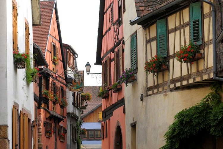 Zellenberg discovery tour