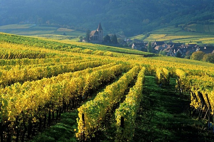 Entdeckungsrundgang von Hunawihr