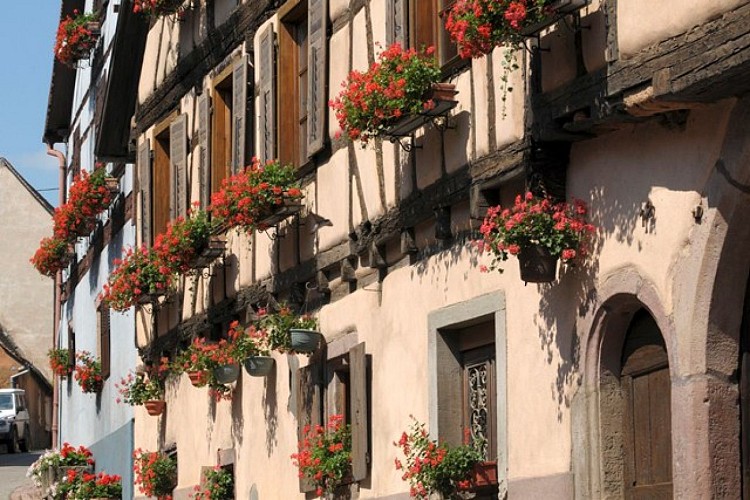 Entdeckungsrundgang von Hunawihr