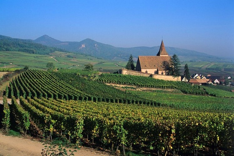 Entdeckungsrundgang von Hunawihr