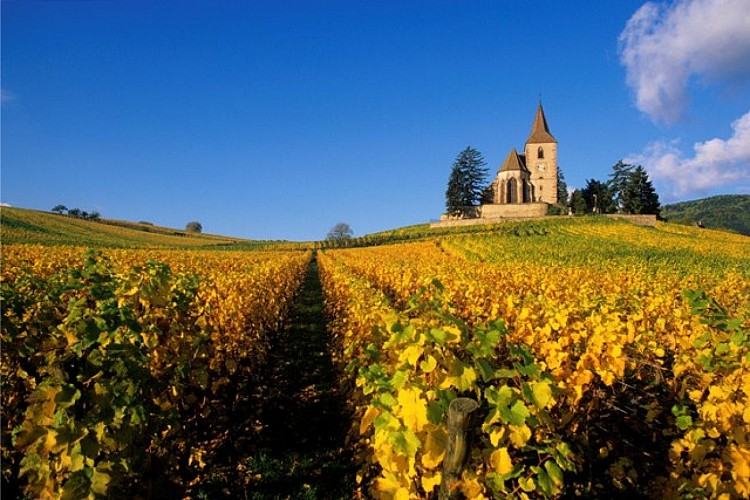 Entdeckungsrundgang von Hunawihr