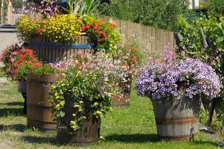 Rundgang zur Entdeckung von Bennwihr