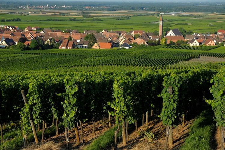 Bennwihr discovery tour