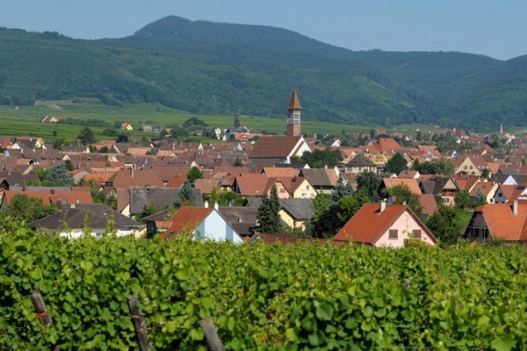 Bennwihr discovery tour