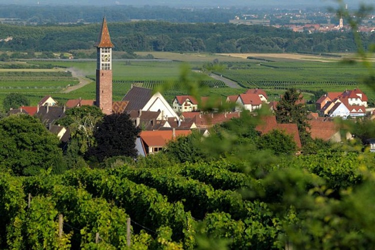 Circuit de découverte de Bennwihr