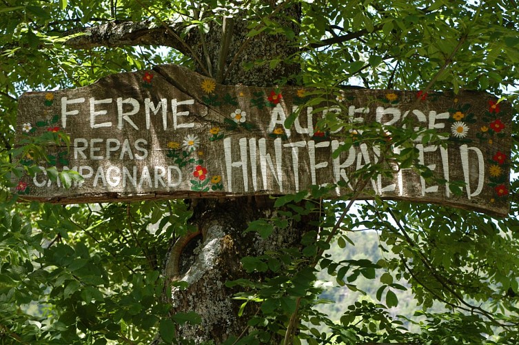 Balade ferme-auberge Hinteralfeld : Dans le cirque de l'Alfeld