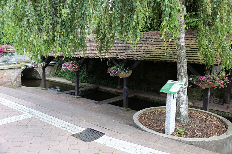 Le sentier des poètes