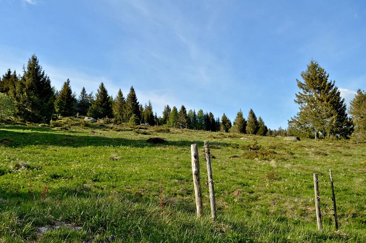 Circuit rando - Les balcons du lac Blanc
