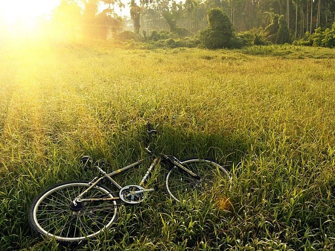Von Dossenheim nach Saverne
