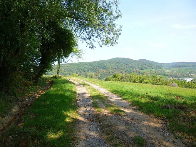 Très belle vue sur cette portion de sentier sur la vallée de la Lauter