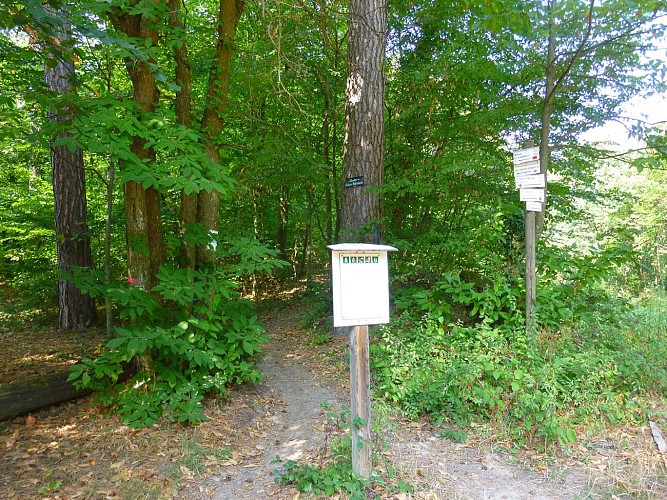 Emprunter le sentier Edouard Dietenbeck