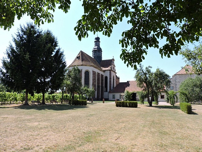 Recherche des mots magiques - Altorf