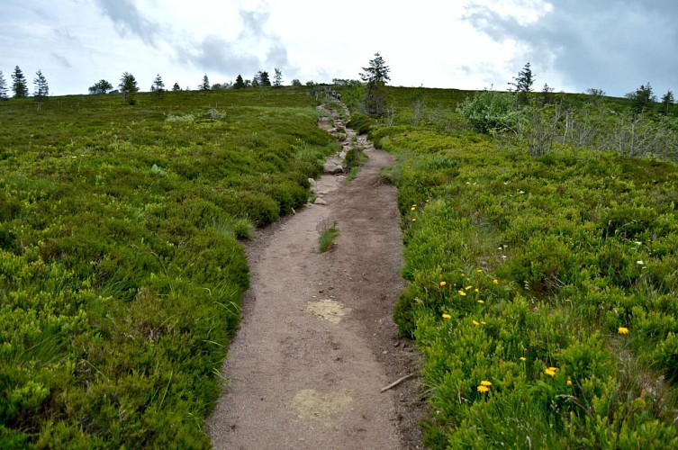 Wanderung - Panoramatour über den Gazon du Faing