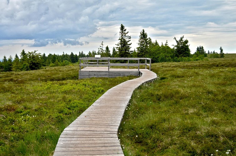 Wanderung - Panoramatour über den Gazon du Faing