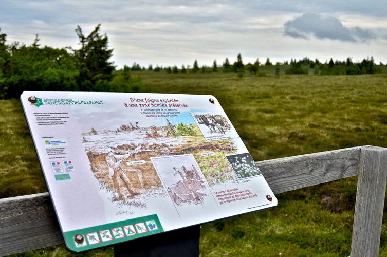 Wanderung - Panoramatour über den Gazon du Faing