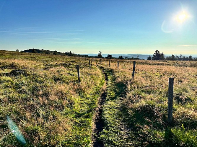 Hiking tour - panoramic tour by the Gazon du Faing