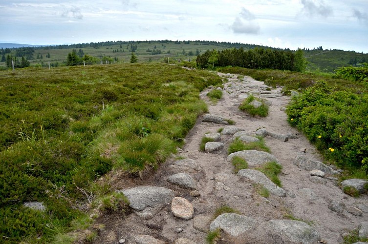 Hiking tour - panoramic tour by the Gazon du Faing
