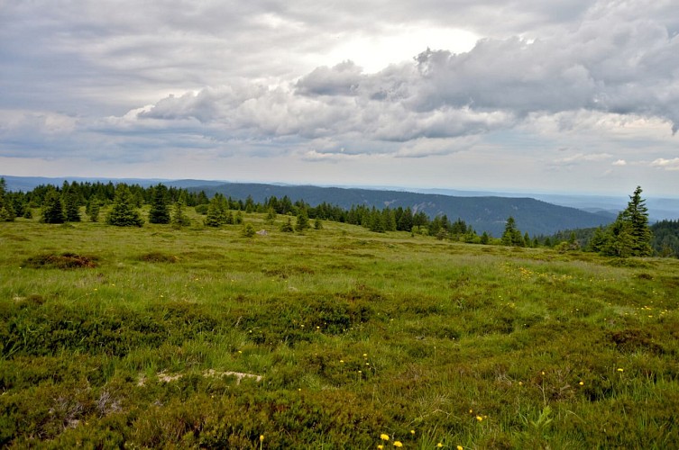 Hiking tour - panoramic tour by the Gazon du Faing