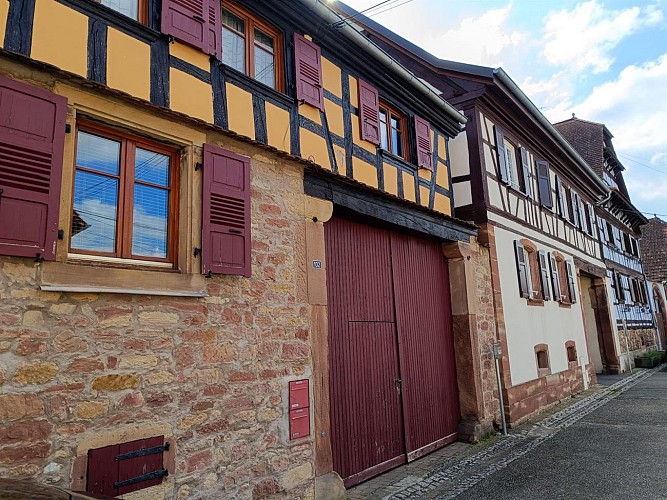 Suche nach Zauberwörtern - Dachstein