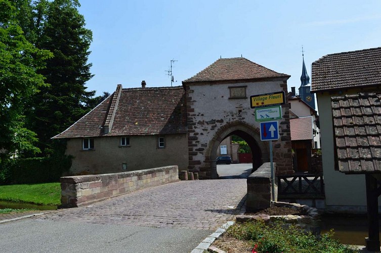 Recherche des mots magiques - Dachstein