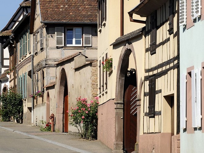 Rundweg durch Zellwiller