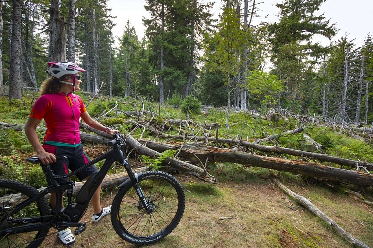 Mountainbike Strecke 10 - Trois-Epis