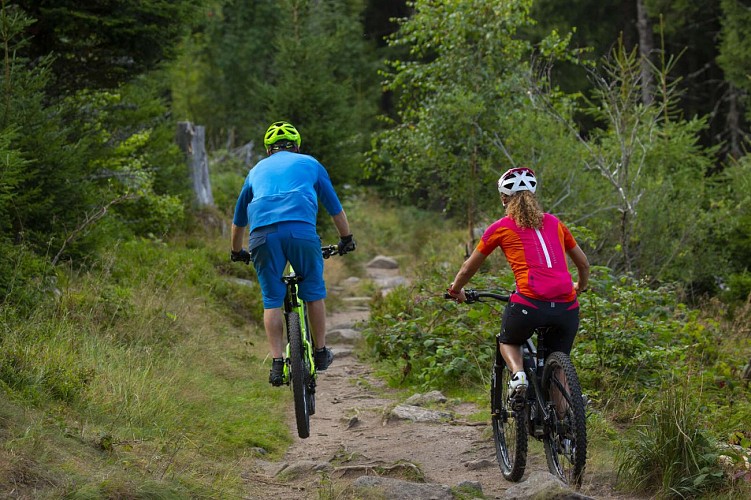 Mountain bike trail 10 - Trois-Epis