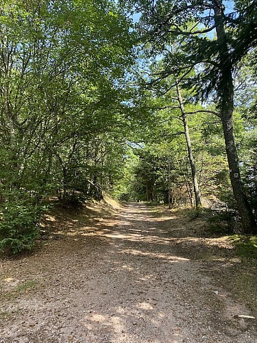 Circuit VTT 10 - Les Trois Epis