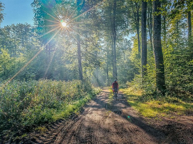 Vélo Gravel sur les beaux chemins du Jura Alsacien