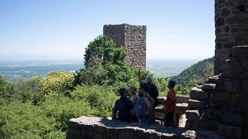Chemin des châteaux-forts d'Alsace partie 4 Turckheim - Thann