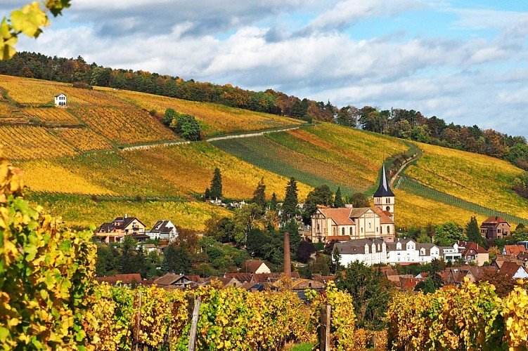 Circuit du Vignoble d'Obernai à Barr