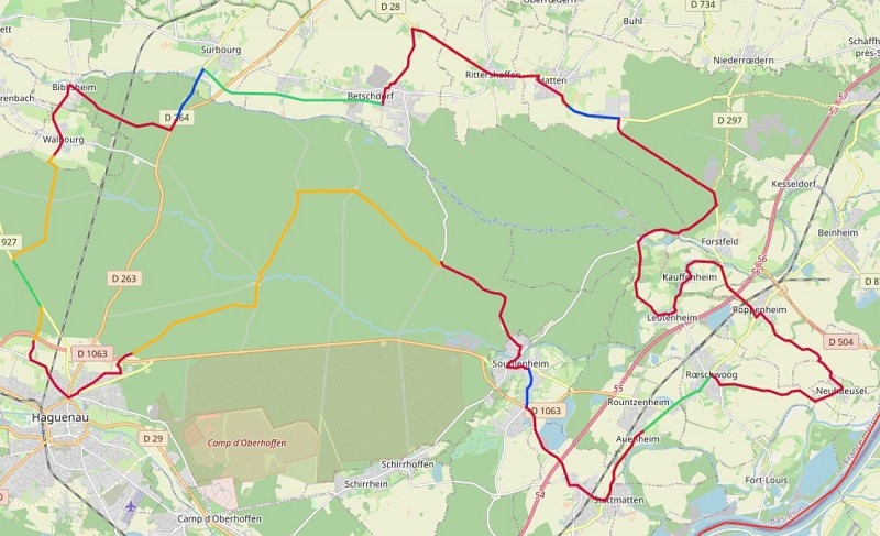 Alsace by bike - The potters' villages and the forest of Haguenau