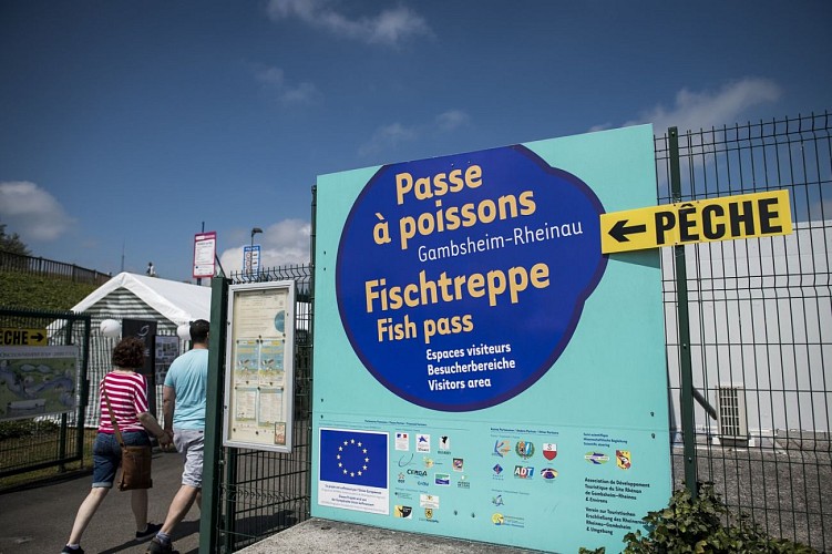 Fahrradtour im Elsass - Spargel und Fachwerk