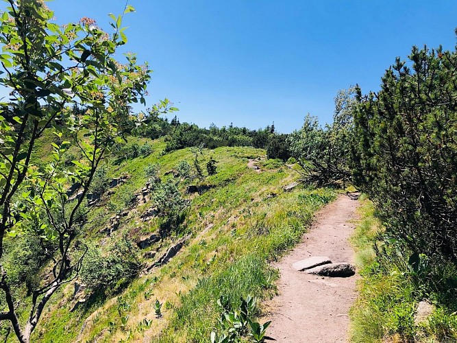Hiking tour - the lac Blanc ridge