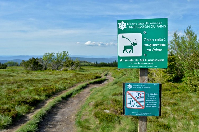 Hiking tour - the lac Blanc ridge