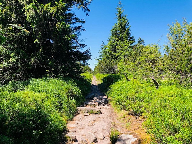 Hiking tour - the lac Blanc ridge
