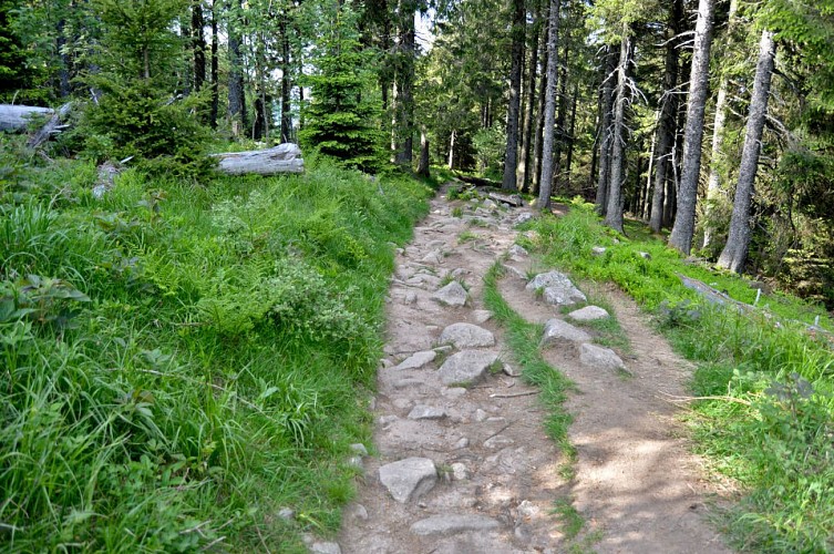 Hiking tour - the lac Blanc ridge