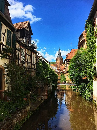 Véloroute de la vallée de la Lauter