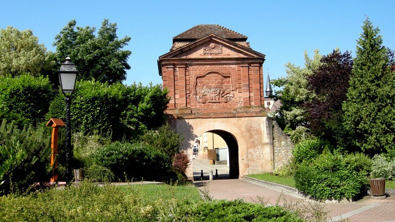 Véloroute de la vallée de la Lauter