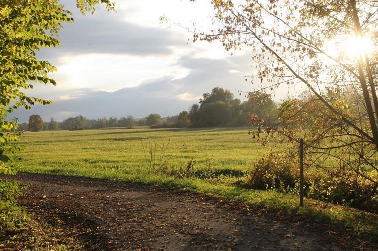 Hiking tour - from the owl