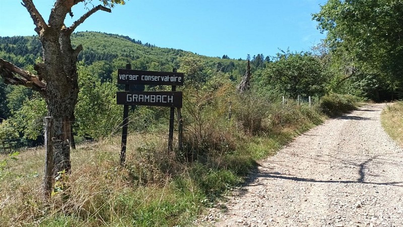 Tour of Grambaechle chalet