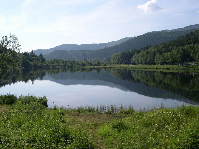Lac d'Alfeld