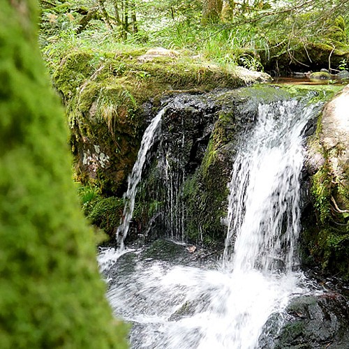 Circuit: Lake Sewen and Lake Alfeld
