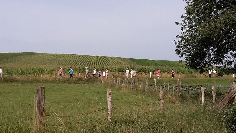 Walking Trail : Circuit du Pfaffenloch - Muelbach