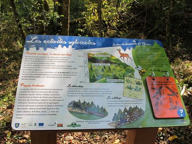 Wanderung Dolleren: Graber Entdeckungspfad