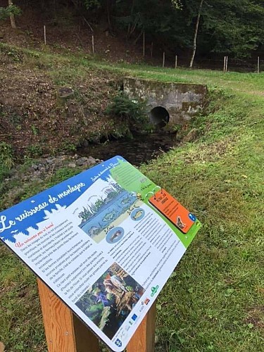 Randonnée Dolleren : Sentier de découverte du Graber
