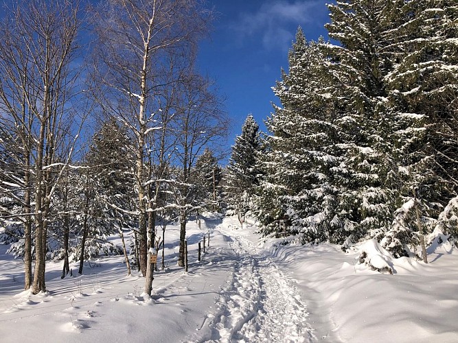 Schneeschuh-Rundweg - L'Etang du Devin