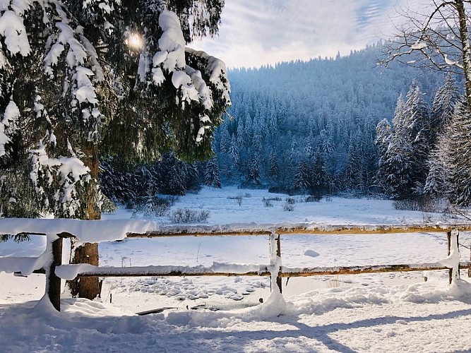 Snowshoe trail - L'Etang du Devin