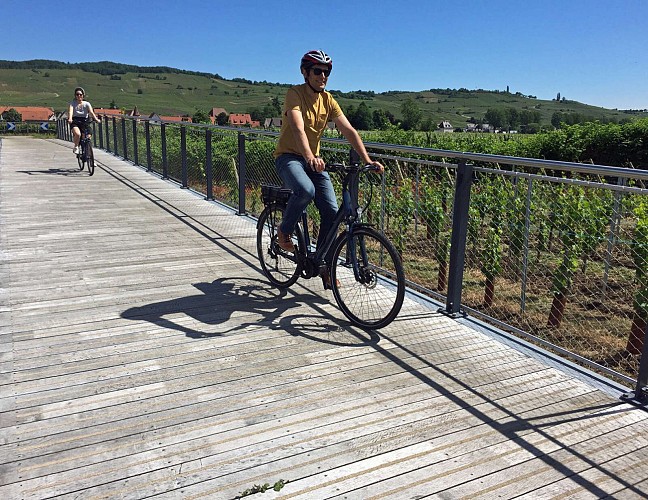 Spazieren Radfahren - Die Balkone des Weinbergs 1