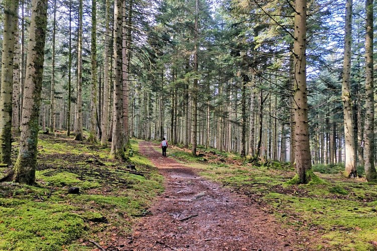 Hiking - From the peaks to a 360° view